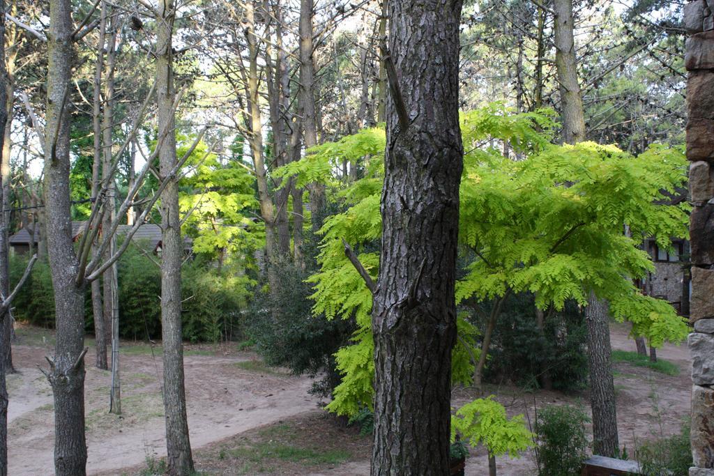 Cabanas Hurra Pampa Мар-де-Лас-Пампас Экстерьер фото